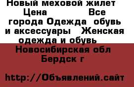 Новый меховой жилет › Цена ­ 14 000 - Все города Одежда, обувь и аксессуары » Женская одежда и обувь   . Новосибирская обл.,Бердск г.